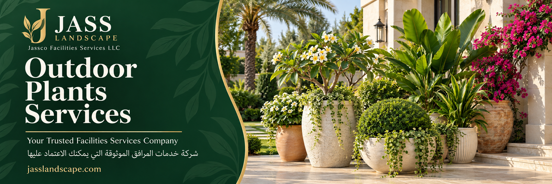 Outdoor Plants
