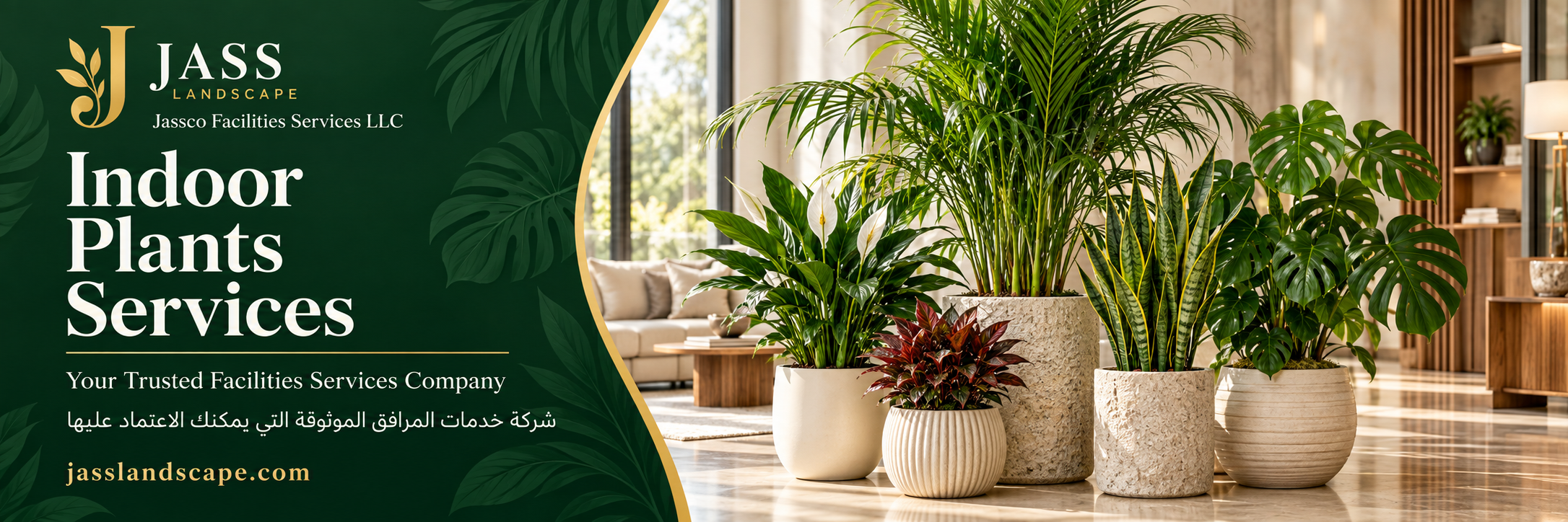 Indoor Plants