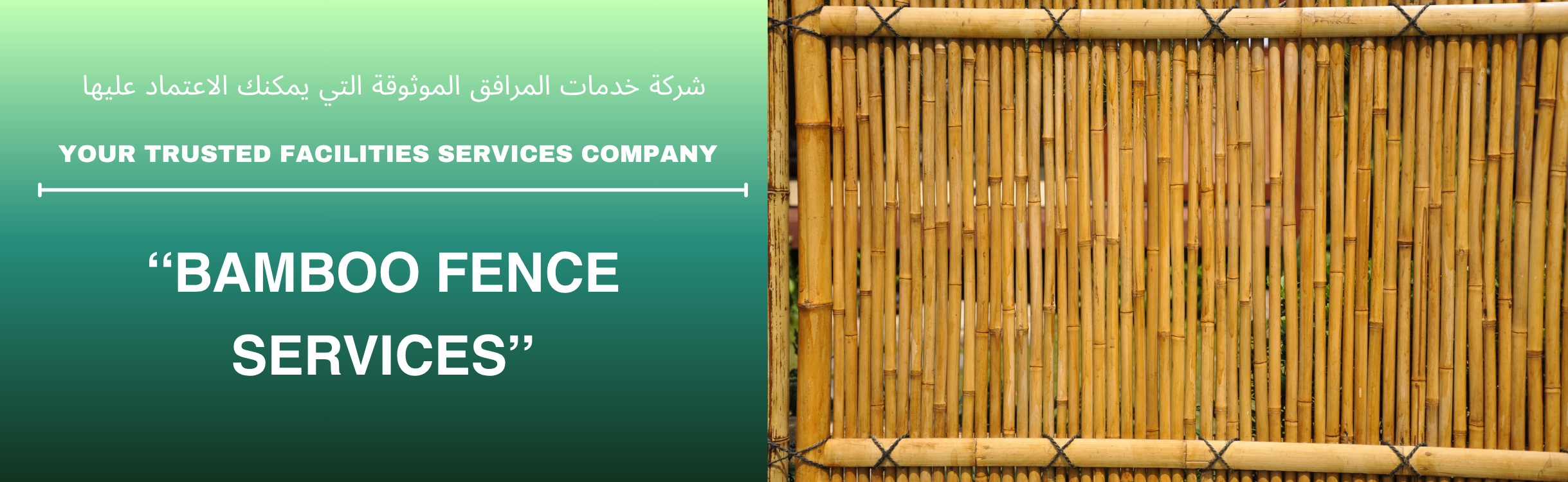 Bamboo Fence